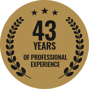 43 Years of Professional Experience